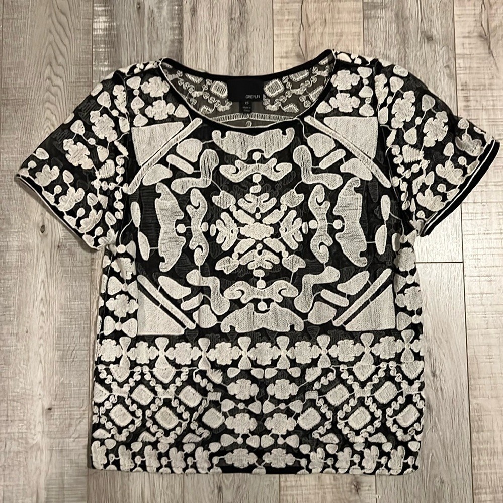 Greylin Sheer Floral Embroidered Top
